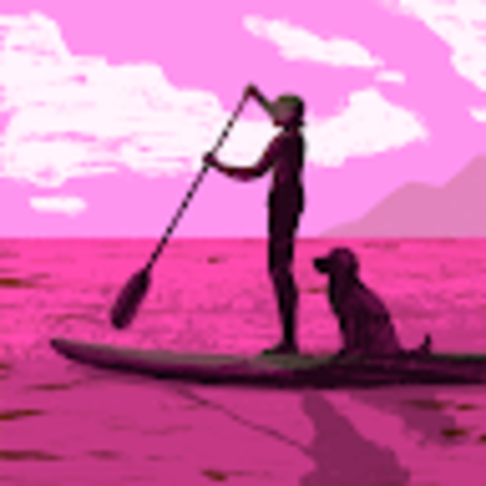 Meet your Posher, Corenne